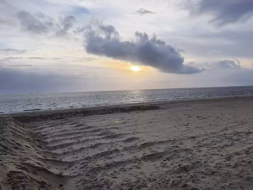 Christoph Riemann – Ferienvermietung auf Amrum & Föhr