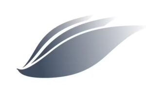 Cielo Real Estate GmbH