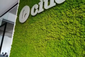 Citie Immobilienverwaltung GmbH