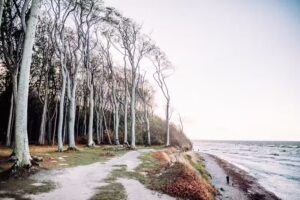 CL Ostsee Living GmbH