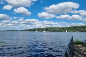 CM-Immobilien (Christian Mechler)