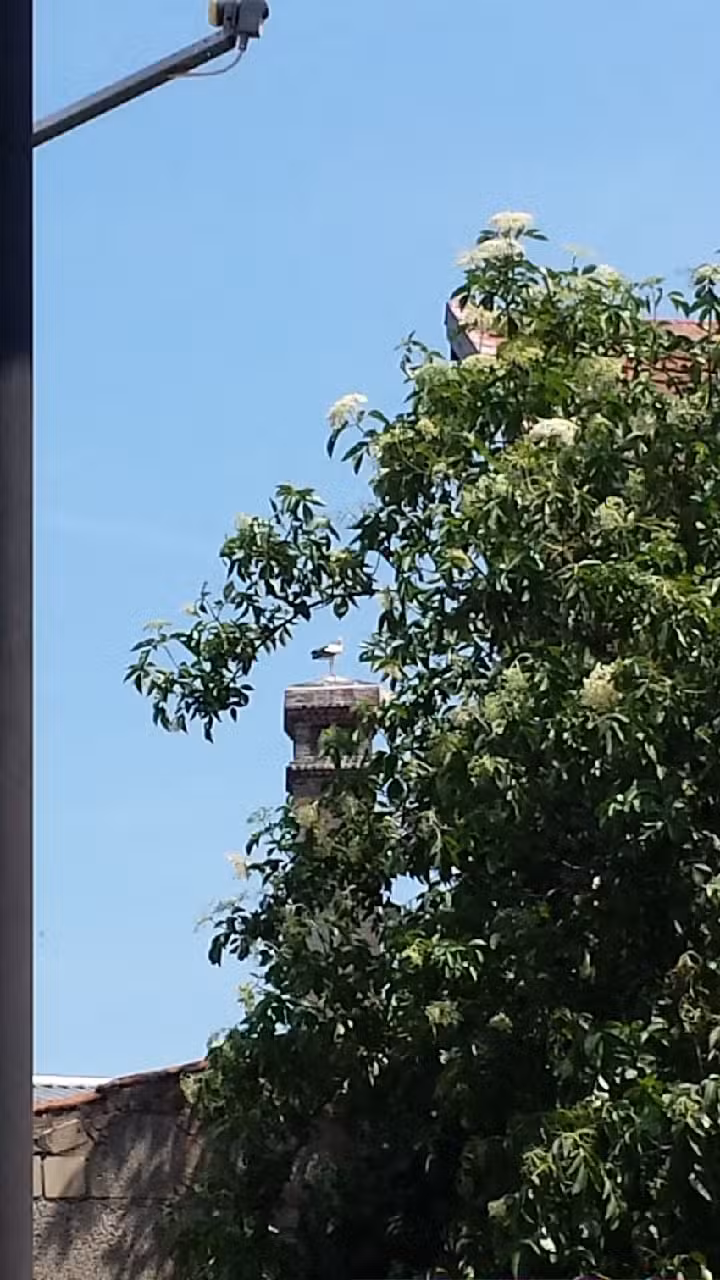 Compact Haus- und Liegenschaftsverwaltung GmbH