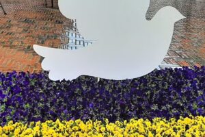 Danika Mügge Immobilien GmbH