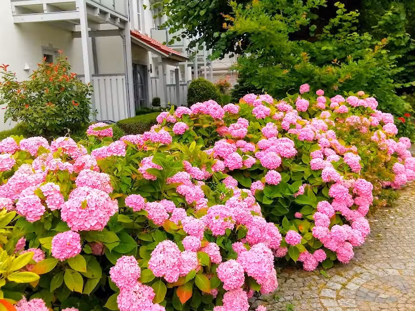 Das Bauernhaus – Dietmar Appel