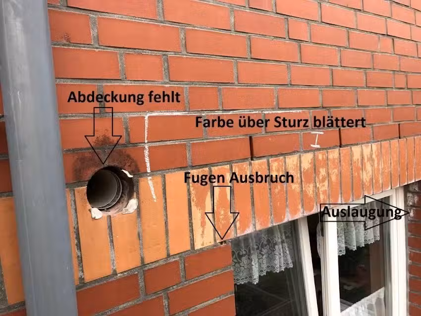Das Gutachterbüro Stuntebeck