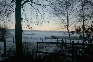 Das Haus In Den Weiden