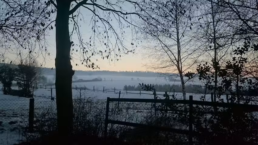 Das Haus In Den Weiden