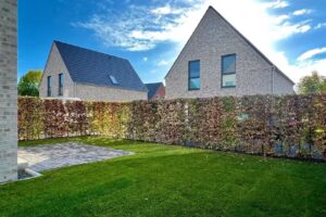 DAUMANN & WEISHEIT IMMOBILIEN