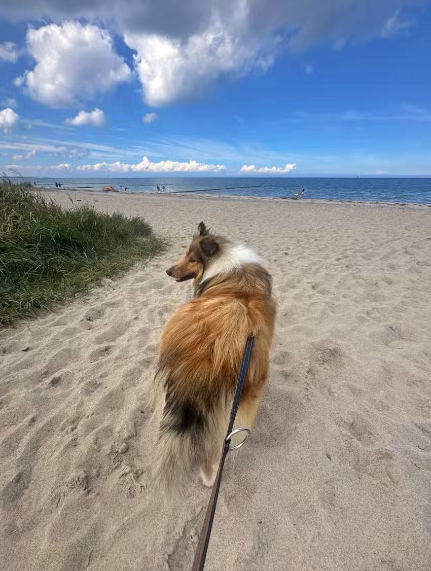 David-Touristik – Kühlungsborn