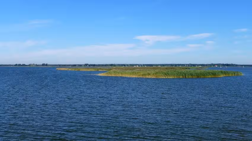 dein-darss-urlaub.de