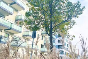 Deutsche Immobilien-Investmentagentur My Home (UG)