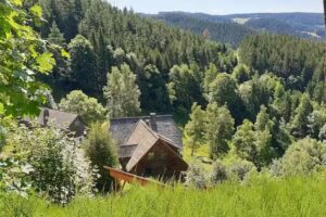 Dickmann Projektentwicklung