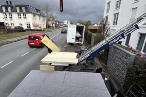 Die Umzugslöwen De Moll