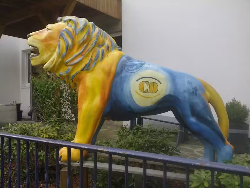 DIMO Immobilien Gesellschaft mbH