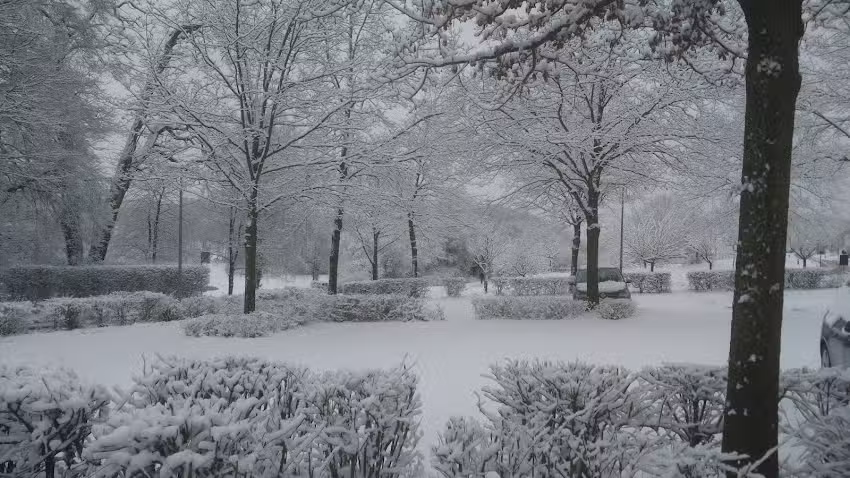 Dippelshof Betriebs- und Verwaltungsgesellschaft mbH & Co Sportanlagen KG