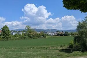 Dobak IMMOPartner GmbH