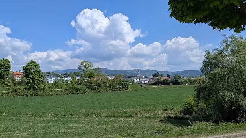 Dobak IMMOPartner GmbH