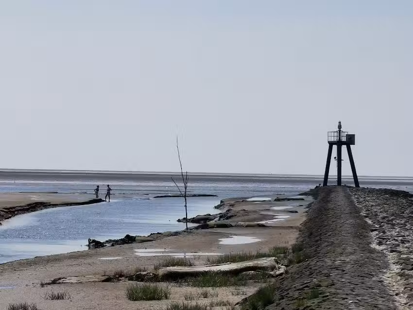 Domizil Wattenmeer