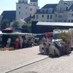 Domus Acta Immobilien