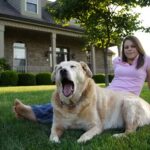 Dörrzapf Immobilien & Architekten