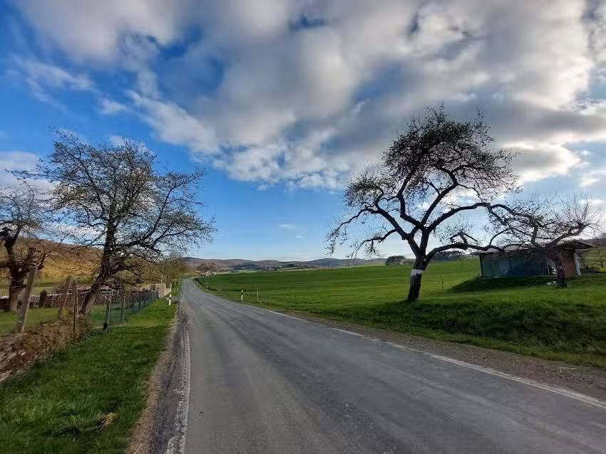 Dream Green Apartment ’Meadow’