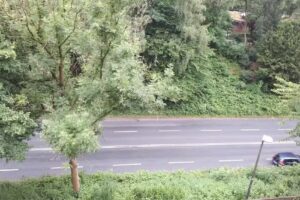 Düsseldorfer Wohnungsgenossenschaft eG