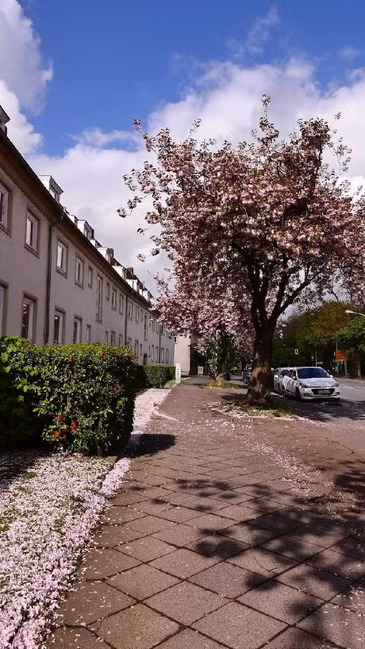 DZ Immobilien + Treuhand GmbH