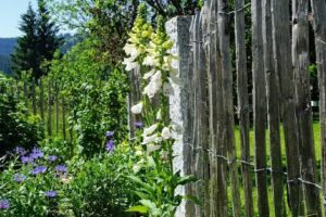 Eckhardt – wohnen & geniessen Ferienwohnung „Tobias“