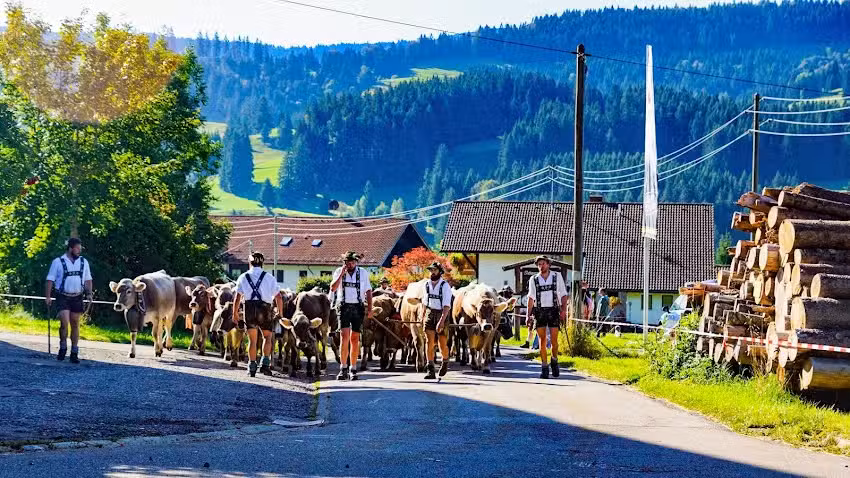 Eckhardt – wohnen & geniessen Ferienwohnung „Tobias“