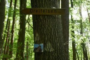 Eichwald23 Ferienhaus