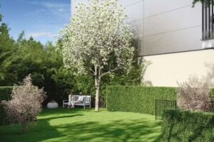 EIMSLINDE – 12 Eigentumswohnungen – Privatweg 21