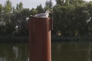 Elbe-Geest Immobilien GmbH