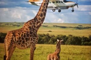 Emmert-Hammon Grundbesitz GmbH & Co. KG