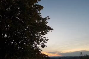 Ernst-Martin und Ruth Zipperer