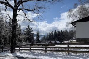 Erzgeister – Das Jüdel