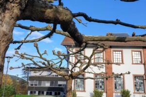 Fabrik Sonntag GmbH & Co.KG