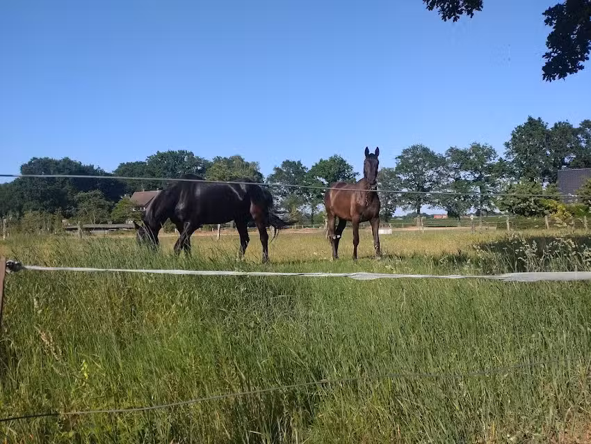 Ferien Emsland – Ferienwohnungen und Monteurzimmer in Meppen