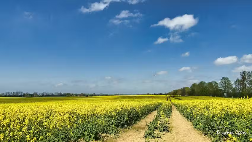 Ferienanlage „Rugenhof“