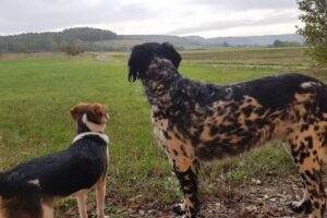 Ferienbauernhof am Hoersch