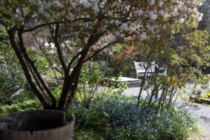 Feriendomizil Der Künstlergarten