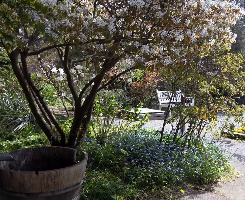 Feriendomizil Der Künstlergarten