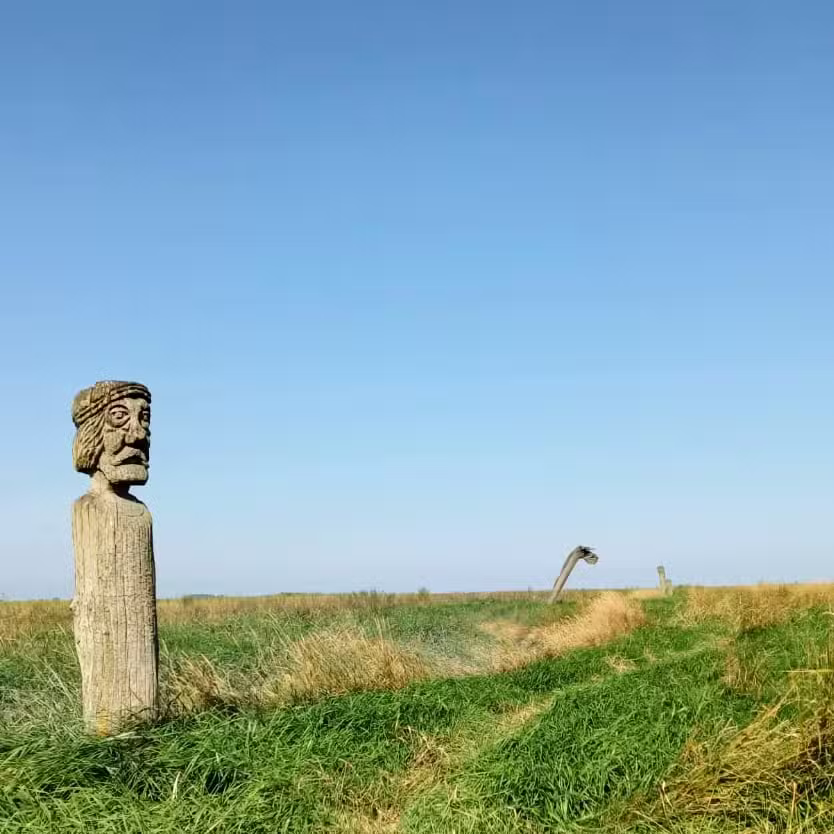 Feriendorf Jade-Sehestedt moderne Ferienhäuser an der Nordsee