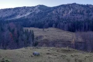 Ferienhaus Alpenflair by stayFritz