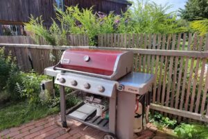 Ferienhaus Altes Forsthaus – Kristian Wittke