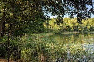 Ferienhaus am Baalsee