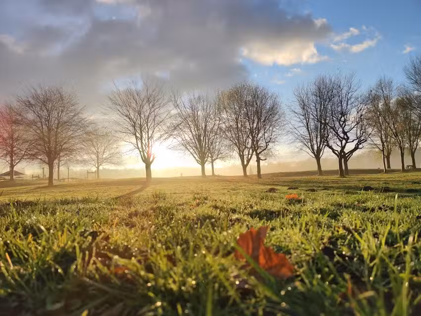 Ferienhaus am Badesee in Aurich-Tannenhausen
