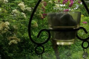 Ferienhaus am Belmermoor 167