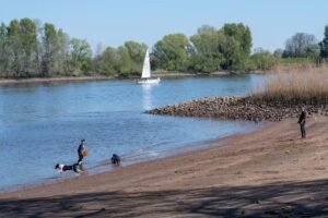 Ferienhaus am Elbdeich