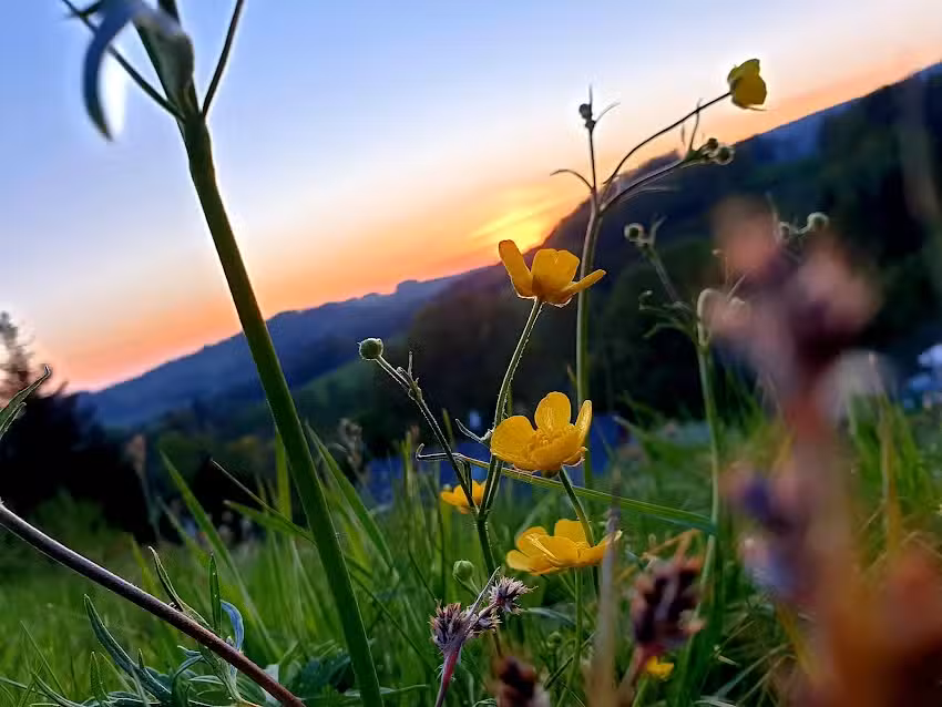 Ferienhaus am Horn Sächsische Schweiz