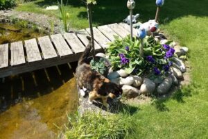 Ferienhaus am Kellbach